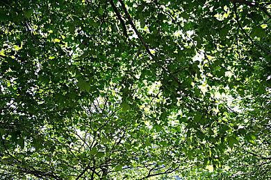 SE策略RPG新作《神领编年史》 将于7月2日公开最新情报