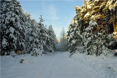 小队即时策略《The Valiant》最新预告 发售日期尚未公布